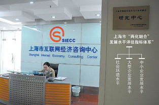 构建精准评估体系 上海互联网经济咨询中心赋能经济信息咨询